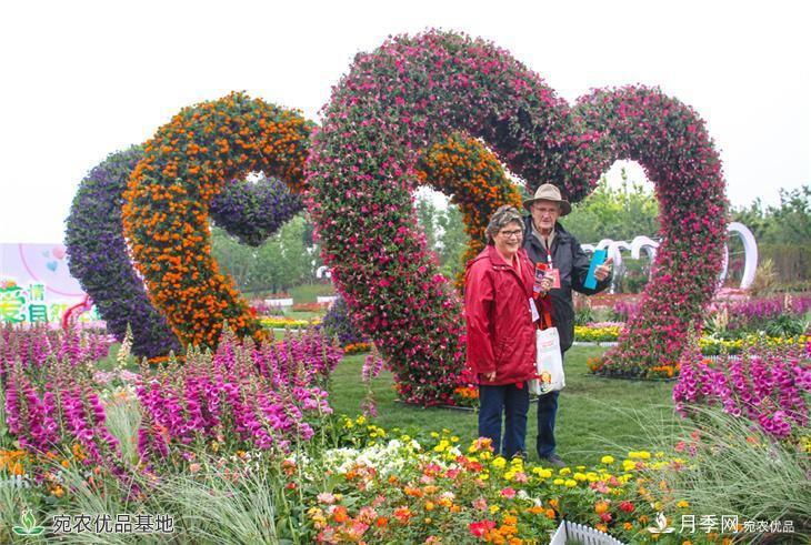 图说南阳：月季花开美 香飘南阳城(图4)