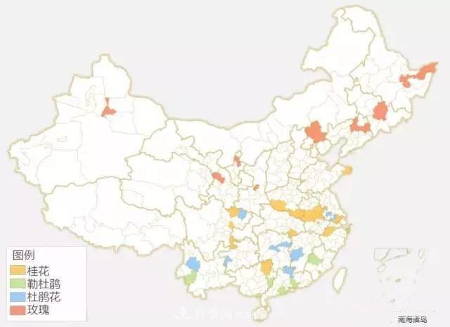 中国各城市市花大集合！月季是51个城市市花具首位(图2)