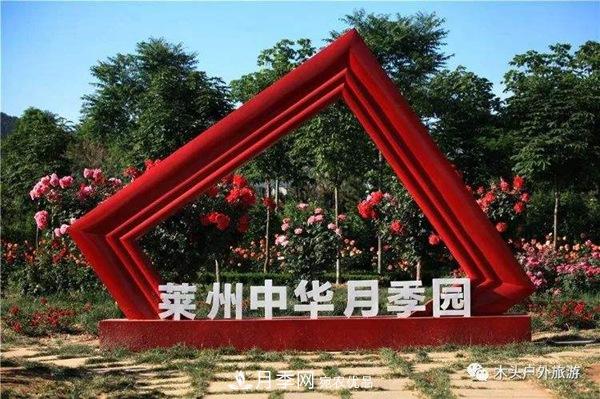 中国十大月季园盘点！赏月季不能错过(图7)