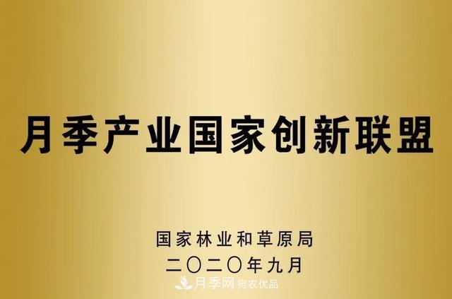 月季产业国家创新联盟成立大会在安徽阜阳召开(图5)