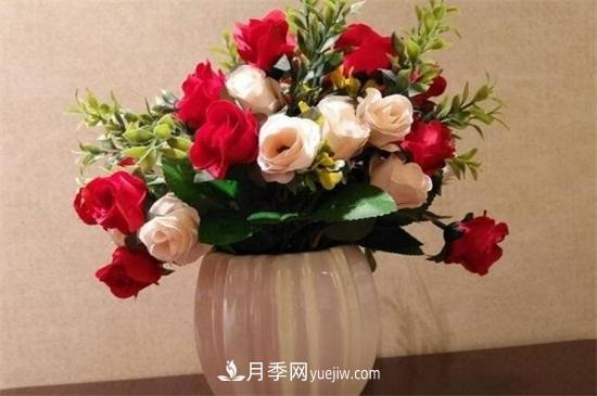 玫瑰花怎么种？玫瑰花种植方法和步骤(图2)