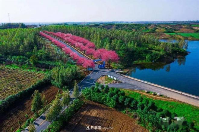 襄阳樊城区景观“一号公路”下个月通车，颜值惊人！(图1)