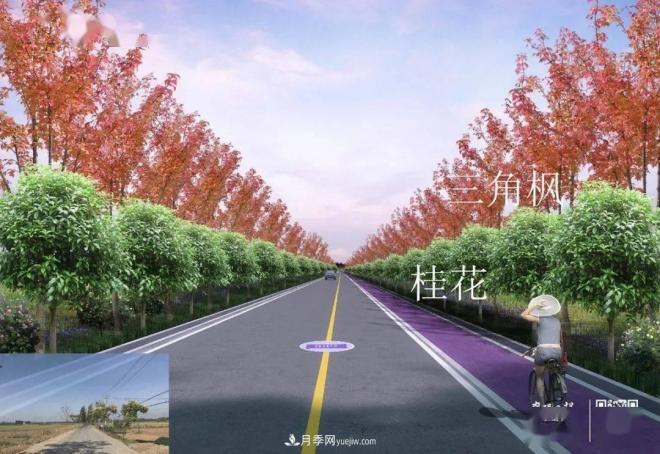 襄阳樊城区景观“一号公路”下个月通车，颜值惊人！(图5)