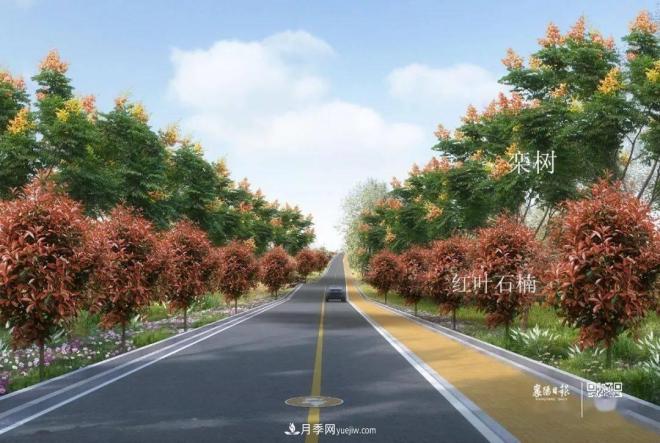襄阳樊城区景观“一号公路”下个月通车，颜值惊人！(图6)