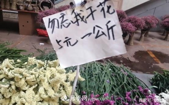 亚洲***大花卉小镇：昆明斗南玫瑰4毛一支，年销70亿！(图3)