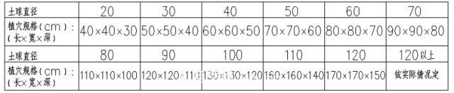 要想苗木长得好，挖好树穴很重要！标准种植穴(图2)