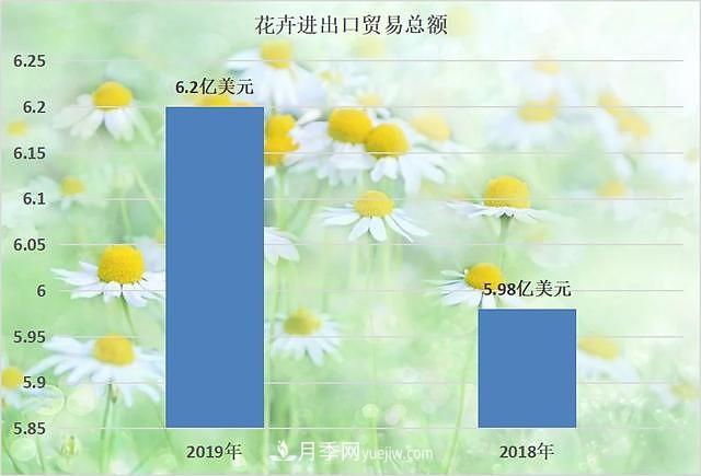 2020-2024年中国花卉市场发展预测分析(图2)