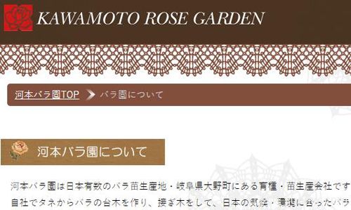 月季育种家：日本河本月季园(河本纯子Kawamoto)(图1)
