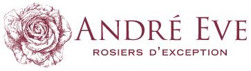 月季育种家：法国Roses Anciennes André Eve(安德烈伊芙)(图1)