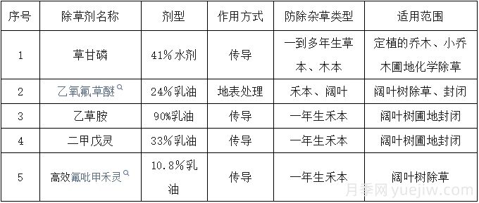 月季苗圃化学除草技术(图2)