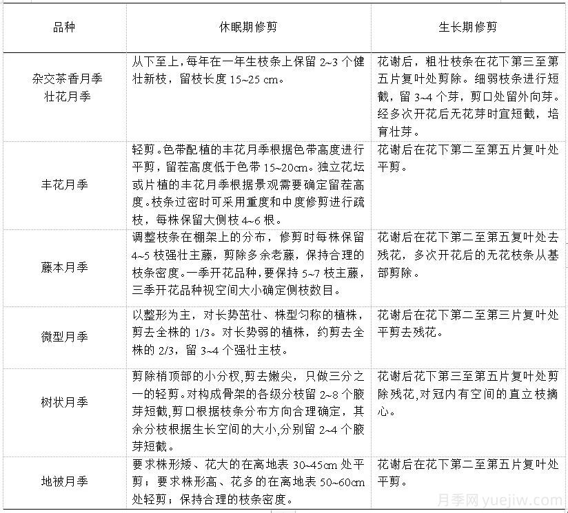 石家庄月季栽培养护技术规程(图4)