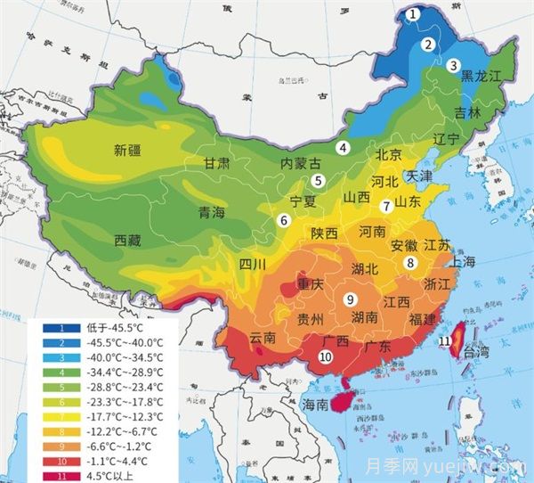 十月月季南北养护大不同？(图1)