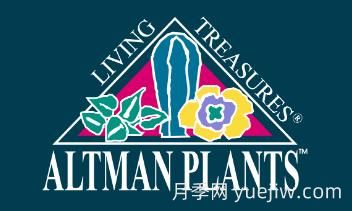 月季育种家：美国奥特曼园艺(Altman Plants)(图1)