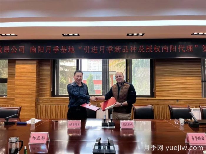 南阳月季基地和法国玫昂月季公司签约引进新品种(图1)