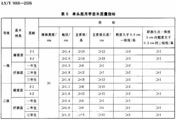 月季苗的质量行业标准(图2)