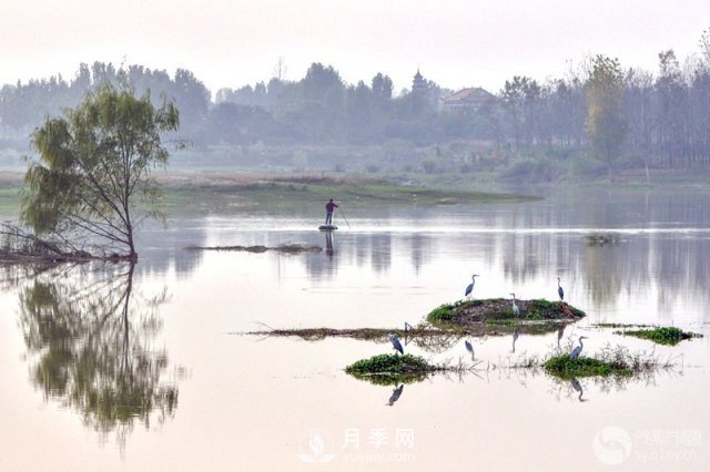 解读南阳三水三山，助力绿色生态发展(图5)