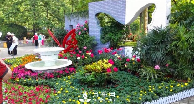 郑州市2015年第二十一届月季花展景观(图5)