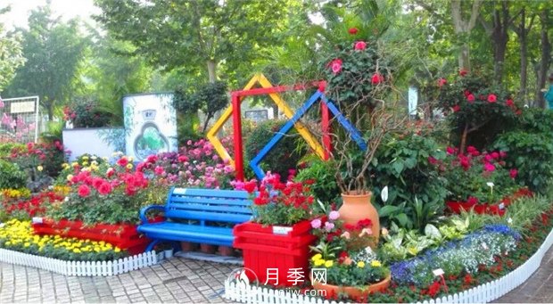 郑州市2015年第二十一届月季花展景观(图6)