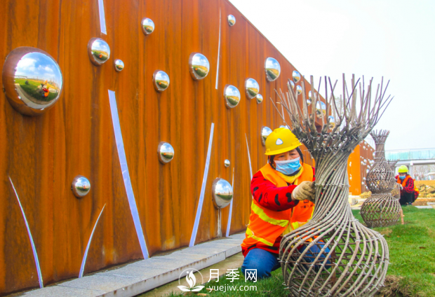 河南南阳：扮亮世界月季大观园 喜迎世界月季博览会(图1)