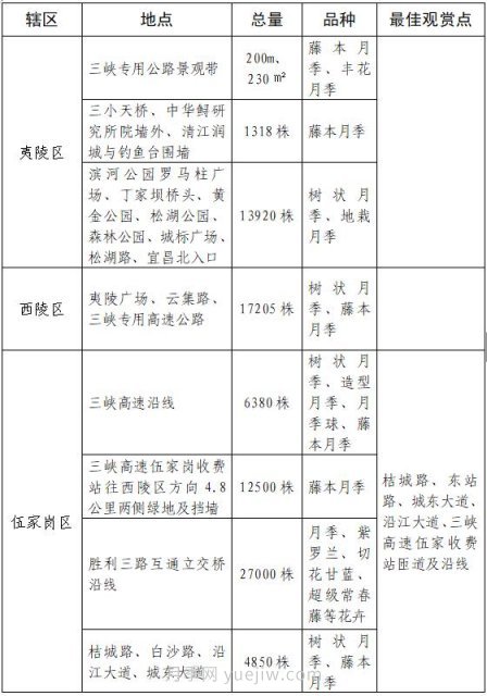 四月盛放的月季时间，湖北宜昌给你的专属浪漫花园(图9)