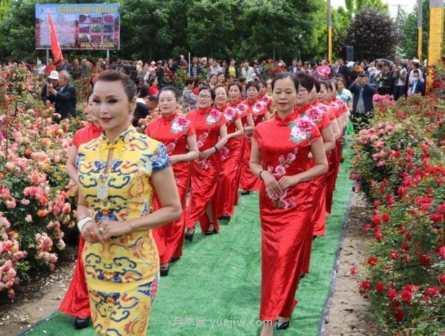 西安鄠邑区首届月季花节开幕，争奇斗艳迎宾客(图1)