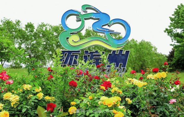 滨州市花月季五月盛放 扮靓城区邀君共赏(图1)