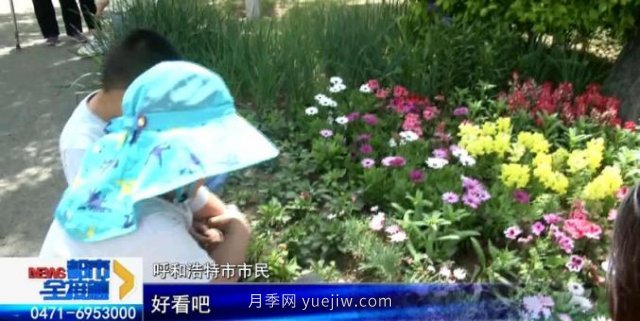 呼和浩特小黑河赏花胜地！20千米观景带3000多株月季花......(图2)