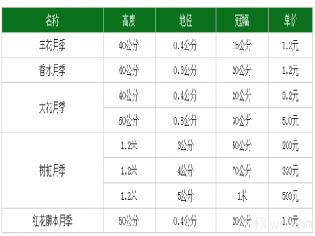 月季花多少钱一株？月季花的繁殖方法和养殖方法