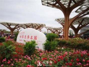 中国的月季园有哪些分类？