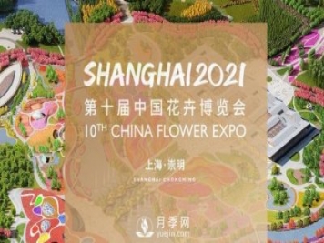 5月，第十届中国花博会将在崇明拉开帷幕