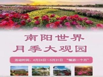 第十二届南阳月季花会4月29日开幕，活动丰富多彩