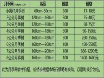 1-10公分月季树价格是多少？树状月季5月报价单!