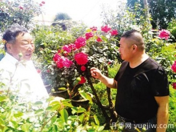 南阳月季大师里的父子兵： 匠心承一脉 莳花弄草人