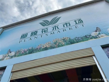 鄢陵县花木产业未必能想到的那些问题