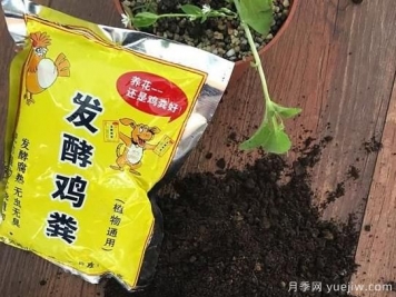 花卉绿植常用三大花肥分析，有机肥、无机肥、发酵各种粪