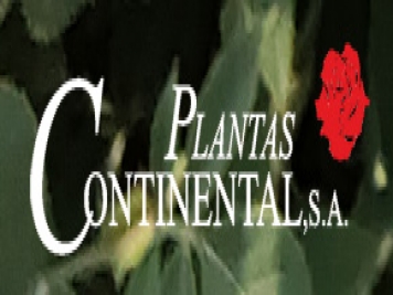 月季育种家：西班牙大陆育种公司(Plantas Continental)
