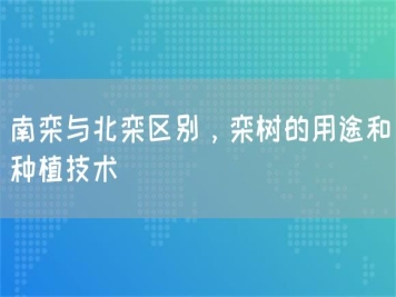 南栾与北栾区别，栾树的用途和种植技术 