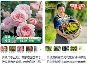 靠谱的月季淘宝店铺有哪些？