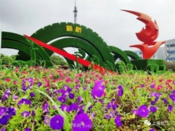 上海松江这里的花坛、花境“上新”啦!特色景观升级!