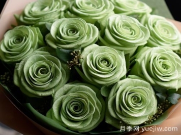 苏格兰复古绿玫瑰，绿色魅力的神秘诠释