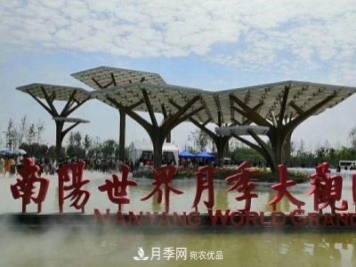 南阳世界月季大观园：只爱园中月季美，不羡他乡百花艳