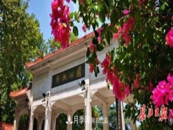 湖北武汉百万株月季“理发”，国庆节前将绽放街头