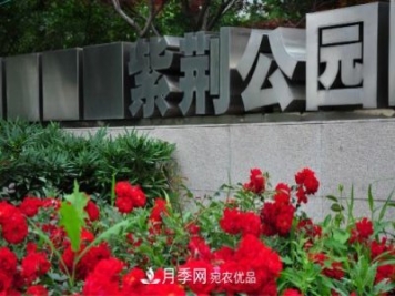 常州紫荆公园走红，被称世界月季名园，免门票创记录