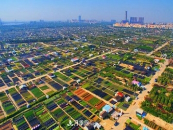 广东省中山市横栏镇，这个3万亩的花木之乡，亩均年产值竟达10万元
