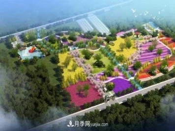山东滕州市北辛街道100亩月季花海，真漂亮!