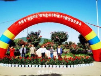 河南省四优四化项目 助推南阳月季、栀子产业发展