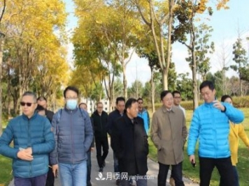 提升城市园林绿化，苏州向上海学什么？
