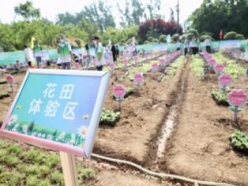 漯河城管园林科研所，邀请400余位市民花田体验栽花