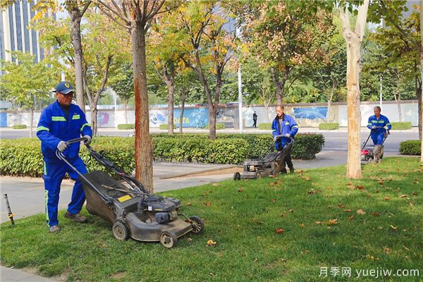 秋冬季节绿化养护知识(图1)