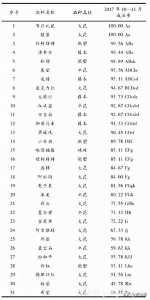 湖南湘中地区月季露地扦插试验(图4)